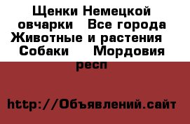 Щенки Немецкой овчарки - Все города Животные и растения » Собаки   . Мордовия респ.